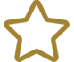 icon-valores